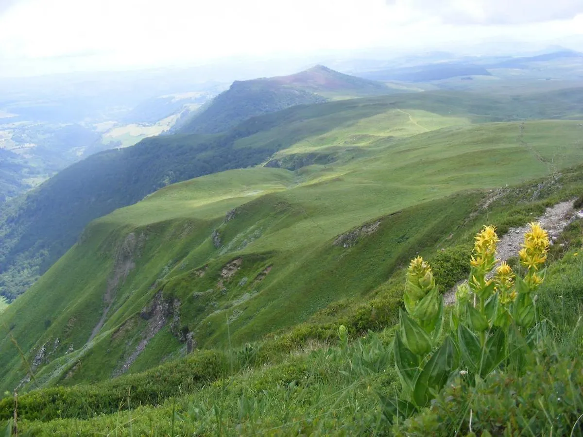 L'Esprit Du Bois Vila Aydat Chalé